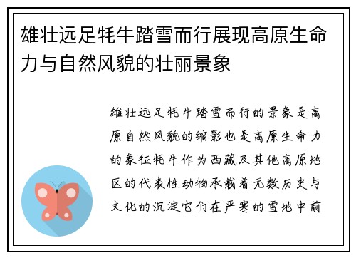 雄壮远足牦牛踏雪而行展现高原生命力与自然风貌的壮丽景象